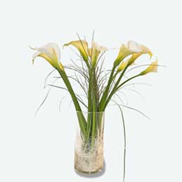 Callas Flowers