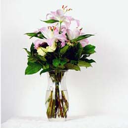 Wedding Gift